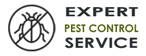 Pest Control Exterminator  Royal Palm Beach FL
